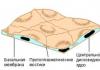 Țesuturile epiteliale: structură și funcții