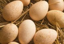 Beneficiile și daunele ouălor de curcan