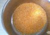Recept za kukuruznu kašu s mlijekom, značajke kuhanja Recept za kukuruznu kašu sa suhim marelicama